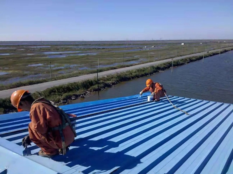 峄城钢结构屋面漏水原因